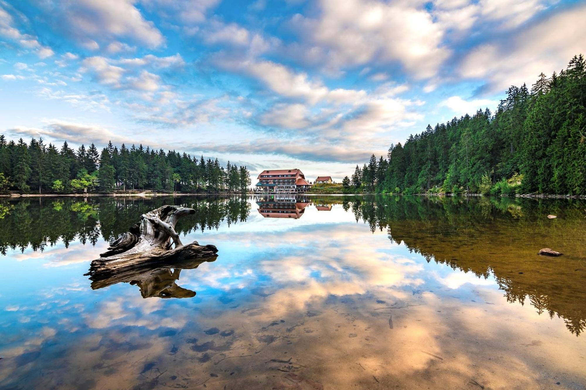 Berghotel Mummelsee Seebach Exteriér fotografie