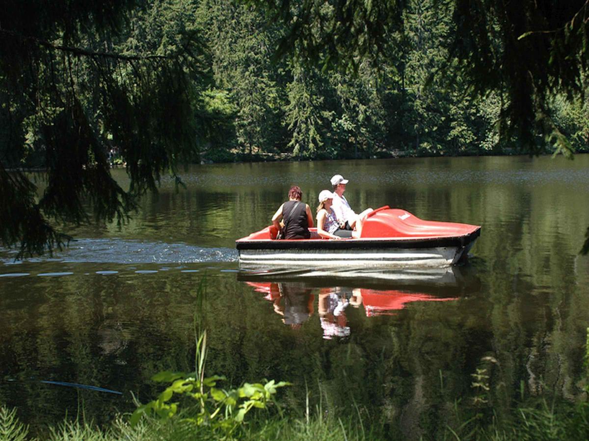Berghotel Mummelsee Seebach Exteriér fotografie